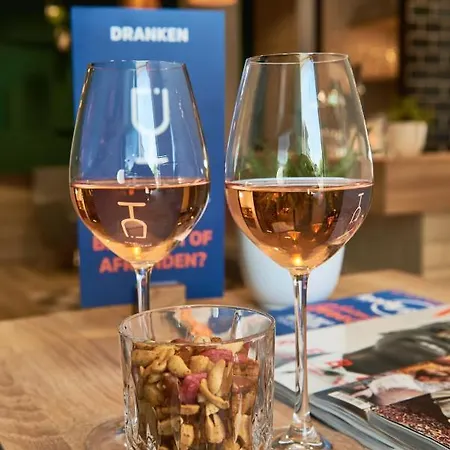 阿姆斯特丹快捷智选假日酒店 酒店 3*